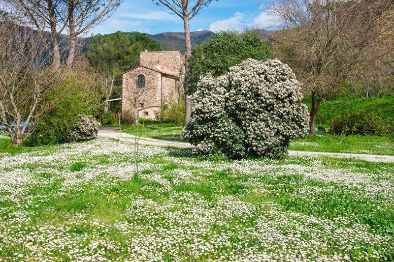 Il Molendino Pisa B&B Calci Luaran gambar