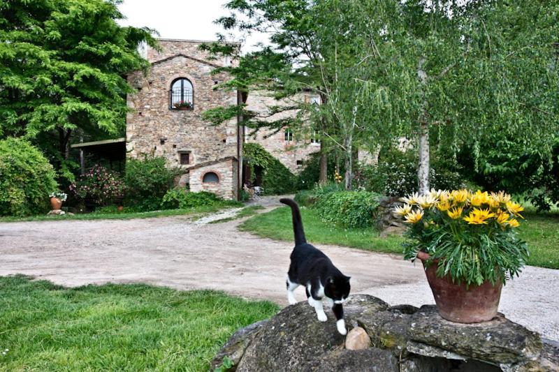 Il Molendino Pisa B&B Calci Luaran gambar