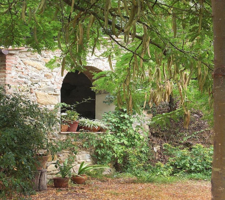 Il Molendino Pisa B&B Calci Luaran gambar