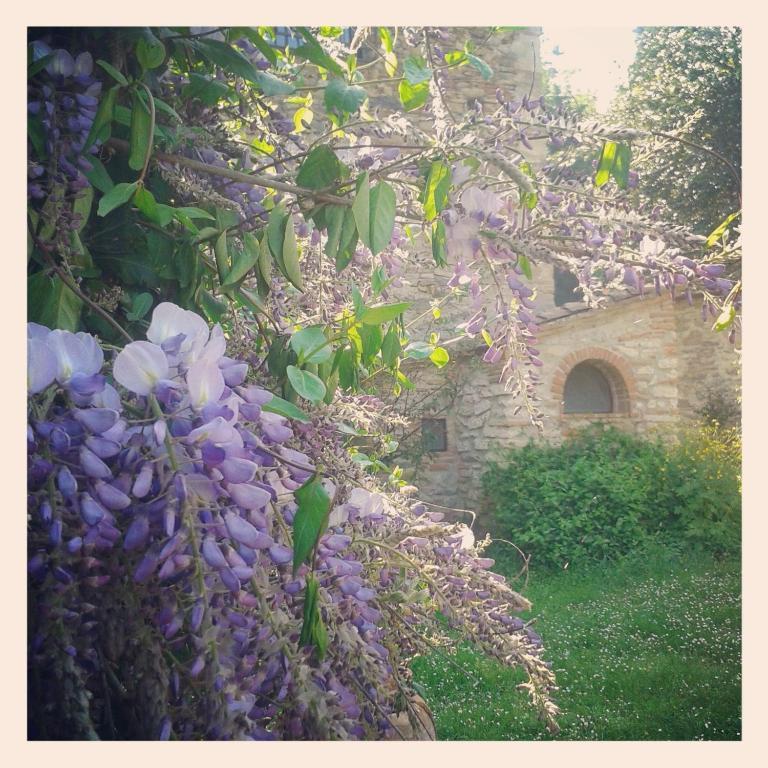 Il Molendino Pisa B&B Calci Luaran gambar